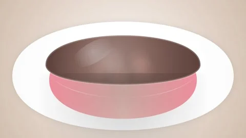 Minimalist brown circle graphic background design element Stock Footage 344642085