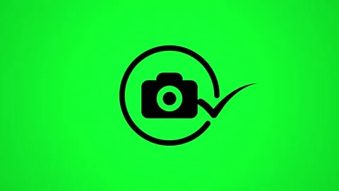 Minimalist camera icon with check mark animation on green screen background.. Stock Footage 346497920
