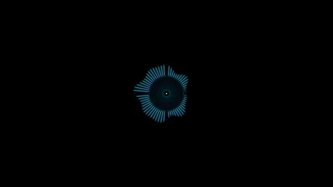 Minimalist Circular Audio Visualizer with radial frequency spectrum Vídeo Stock 345639142