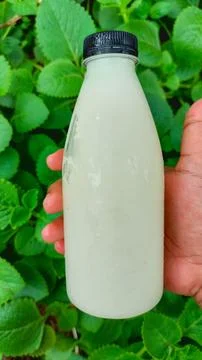 A minimalist composition featuring a hand holding a milk bottle Stock Photos