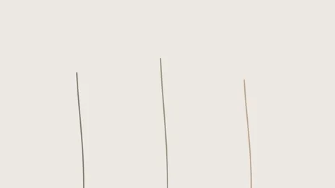 Minimalist composition featuring three vertical lines on a cream background Stock Footage 338312089