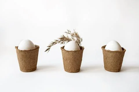 Minimalist concept with Easter white eggs in peat pots. Stock Photos