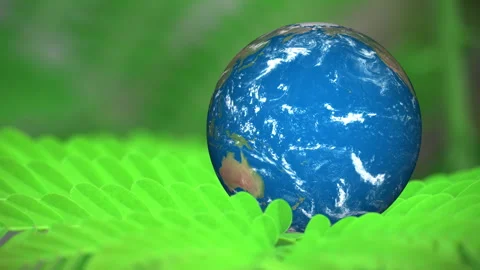 Minimalist conceptual image of an Earth map onto a natural green leaf Vidéo 340390613