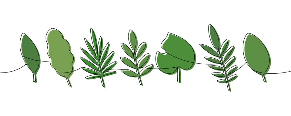 Minimalist continuous line art of assorted green tropical leaves. Botanical Stock Illustration