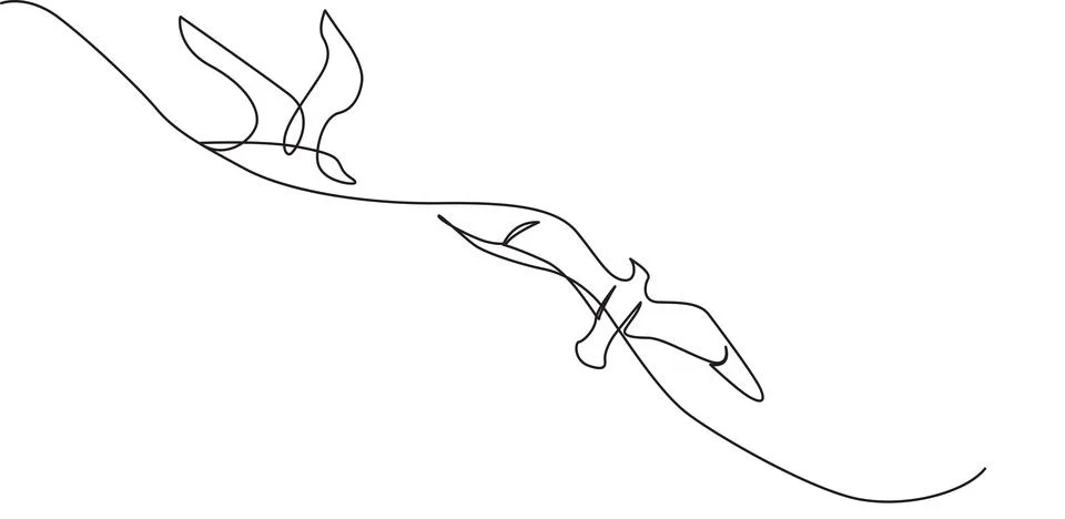 Minimalist continuous line drawing of flying seagulls Stock Illustration
