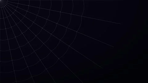 Minimalist corner spider web animation on a dark background Stock Footage 343266290