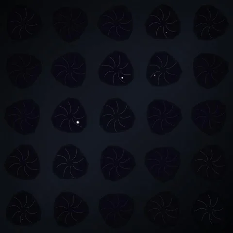 Minimalist dark background pattern of abstract floral mandalas and geometri.. Stock Footage 345689391