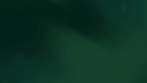Minimalist Dark Green Abstract Background with Soft Shadows and Texture Vidéo 303398672