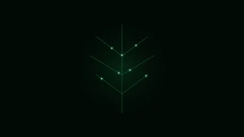 Minimalist digital leaf structure with glowing nodes on a dark background Stock Footage 339619093