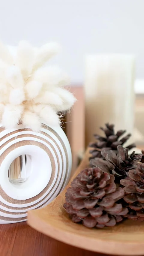 Minimalist Dining Table Setting with Pine Cones and White Plates Stock Footage 335498614