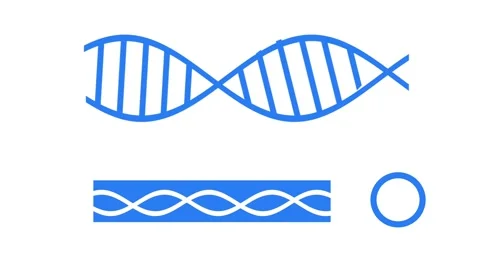 Minimalist DNA Outline Stock Footage 335624308