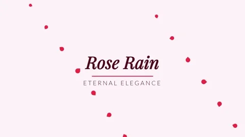 Minimalist elegant brand label template with 'Rose Rain' typography and abs.. Stock Footage 336879905