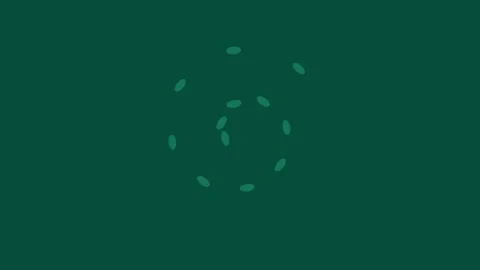 Minimalist emerald green solid chroma key seamless background texture backdro Stock Footage 343633281