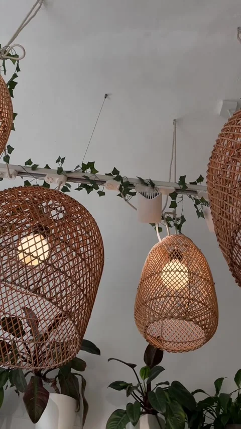 Minimalist environment featuring sustainable materials and botanical elements Stock Footage 335366386