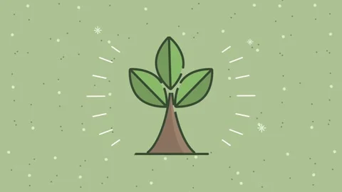 Minimalist flat animation of growing green plant with three leaves on light.. 库存影片 339200384