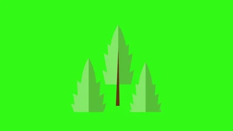 Minimalist Flat Design Pine Tree Forest Icons Isolated on Green Screen Stock Footage 345930675