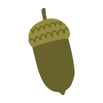 Minimalist flat vector illustration of an acorn with wavy cap pattern. Isolated Stock Illustration