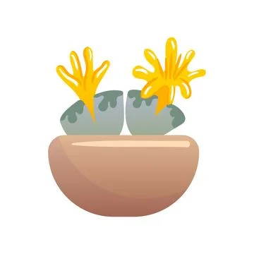 Minimalist flat vector illustration of Lithops succulents, split stone plants in イラスト素材