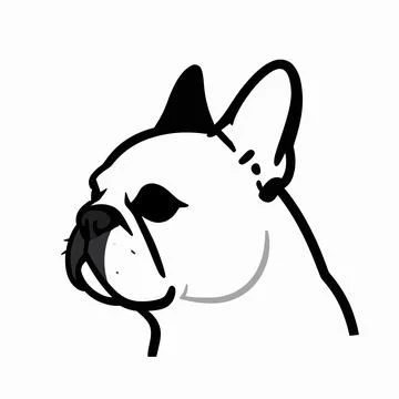 Minimalist Flat Vector Illustration of a Single French Bulldog Head Profile.. Illustrazione stock