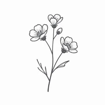 Minimalist flat vector illustration of a single delicate wildflower stem wi.. 库存插图