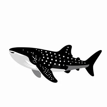 Minimalist flat vector illustration of a single whale shark swimming, aquat.. Illustrazione stock