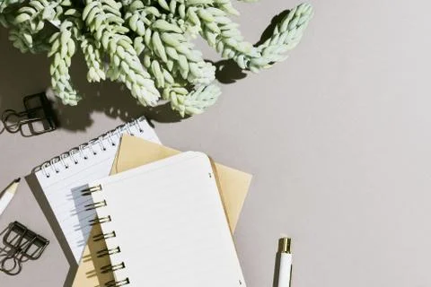 Minimalist flatlay with various notebooks, pen and sedum succulent on grey ba Stock Photos