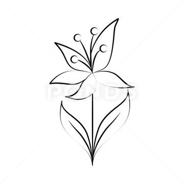 minimalist tattoo botanical flowers leaves stuff sketch line art icons  Stock Vector | Adobe Stock