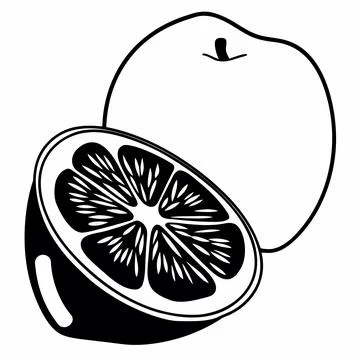 Minimalist Fruit Slice Outline Icon Apple or Lemon Stock Illustration
