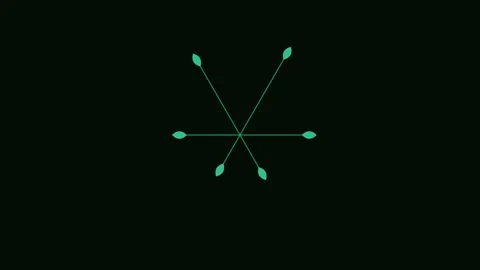 Minimalist geometric star shape with thin lines on a solid black background Stock-Footage 338310147