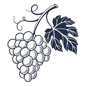 Minimalist Grapes Bunch Icon Vector Stock Illustration