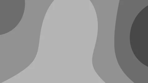 Minimalist Gray Scale Fluid Background Stock Footage 314534097