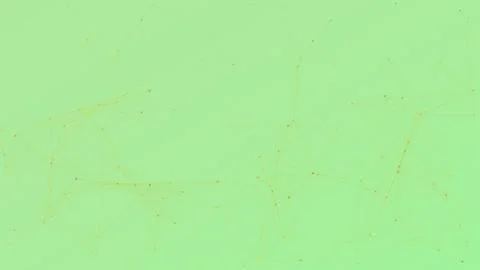 Minimalist green digital network background featuring abstract plexus lines.. Stock Illustration