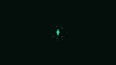 Minimalist green leaf emblem centered on a solid black background design Stock Footage 336263504