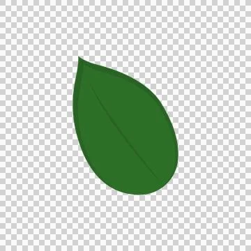 Minimalist green leaf vector illustration on transparent. 스톡 일러스트