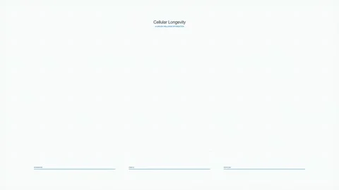 Minimalist Green Loading Spinner Animation on White Background 库存影片 347157061