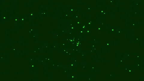 Minimalist Green Screen Background Loop for Modern Creative Presentations Stock Footage 341057011