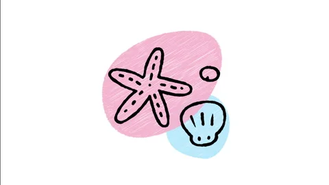 Minimalist Hand Drawn Animated Beach Seashell &amp; Starfish Icon  Stock Footage 343604005