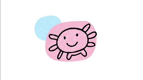 Minimalist Hand Drawn Animated Cute Axolotl Salamander Amphibian  Stock Footage 343601572