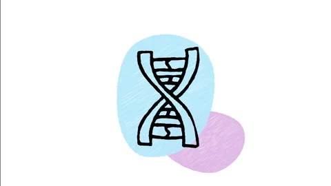 Minimalist Hand Drawn Animated DNA Spiral Helix Genetic Code  Stock Footage 343886454