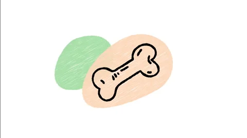 Minimalist Hand Drawn Animated Dog Chew Bone Toy Treat Icon  Stock Footage 343598461