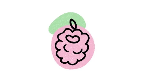 Minimalist Hand Drawn Animated Red Berry Fresh Raspberry Icon Stock Footage 343305017