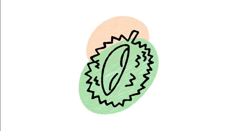 Minimalist Hand Drawn Animated Spiky Tropical Durian Fruit Slice Icon Stock Footage 343304388