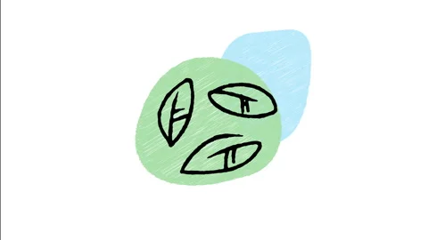 Minimalist Hand Drawn Animated Three Leaves Spin Loop Eco Icon Stock Footage 343300786