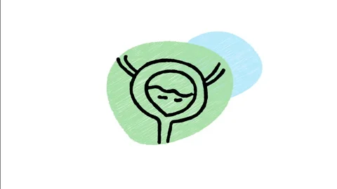 Minimalist Hand Drawn Animated Urinary Bladder System Anatomy Wiggle  Stock Footage 343890286