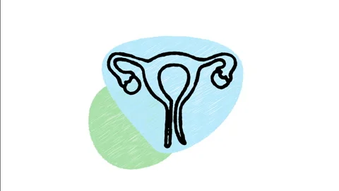 Minimalist Hand Drawn Animated Urinary Bladder System Anatomy Wiggle  Stock Footage 343890437