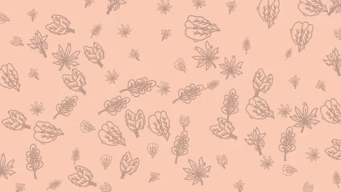 Minimalist hand drawn botanical leaf pattern on soft peach background Stock Footage 344909101