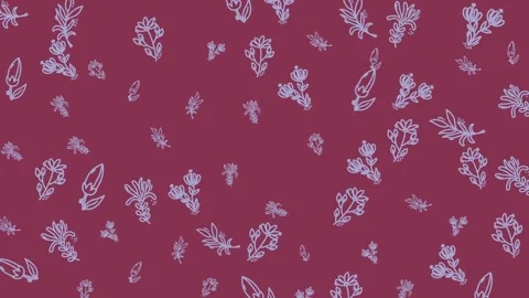 Minimalist Hand Drawn Floral Pattern on Dark Red Background Stock Footage 344909234