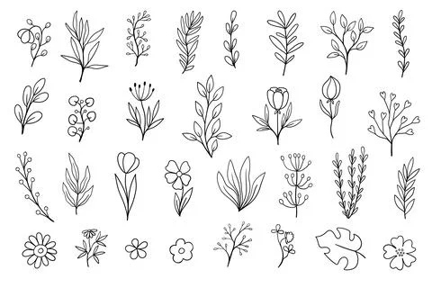 Minimalist Hand-Drawn Linear Botanical Collection. Hand drawn botanical doo.. Stock Illustration
