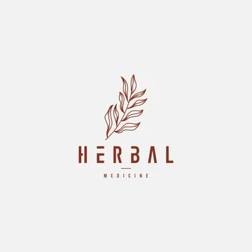 Minimalist herbal logo with leaf element natural organic medicine branding Stock Illustration