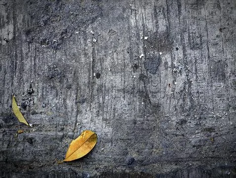 Minimalist high angle shot of two dry autumn leaves on raw concrete surface Stock Photos